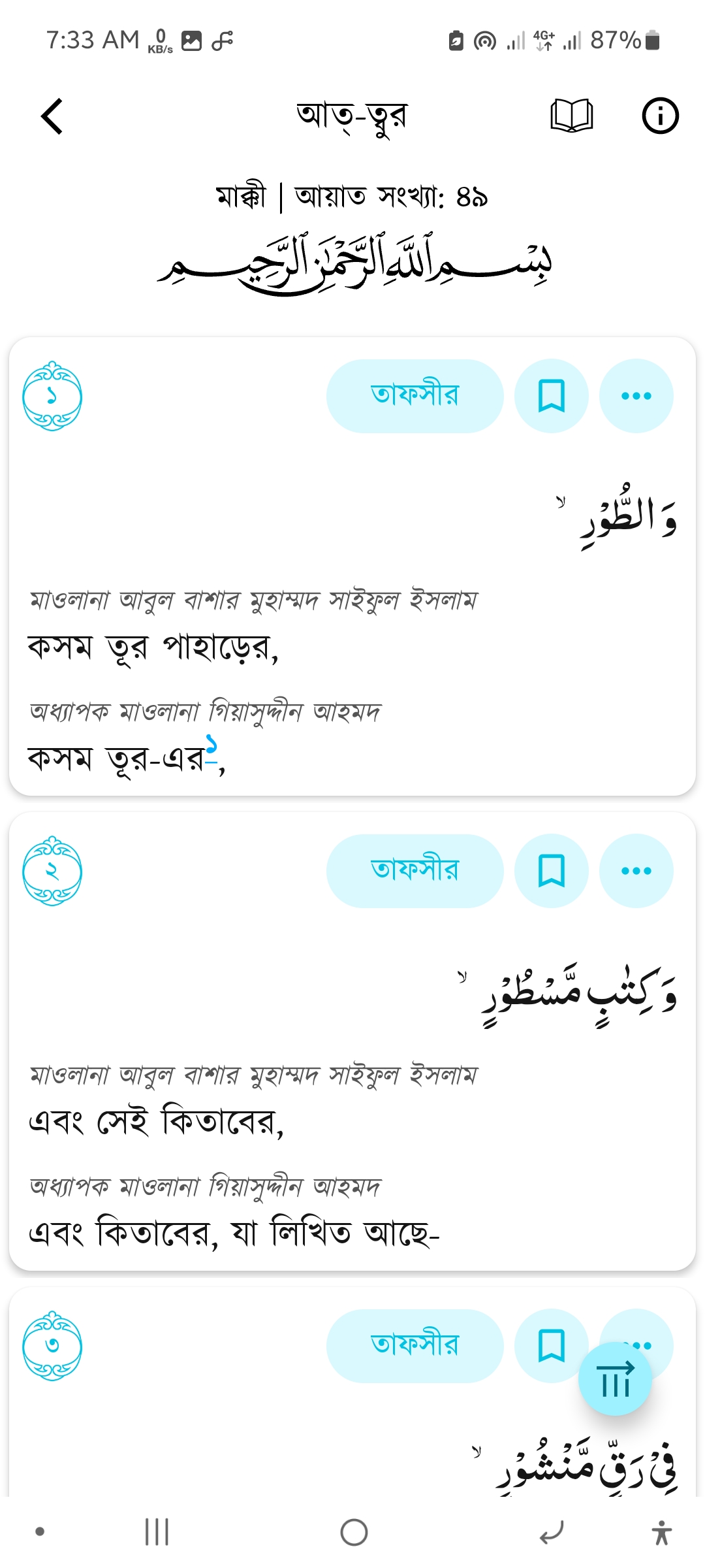App Screenshot - Quran View